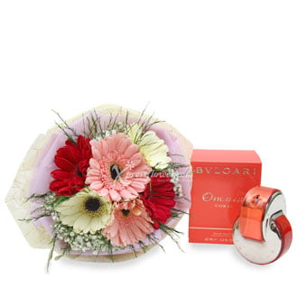 Glowing All Day (6 Mix Coloured Gerberas with Blvgari Omnia Coral Perfume)