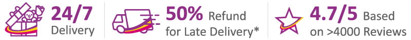 24/7 Delivery Service, 50% Refund for late delivery, 4.7/5 rating from over 4000 reviews