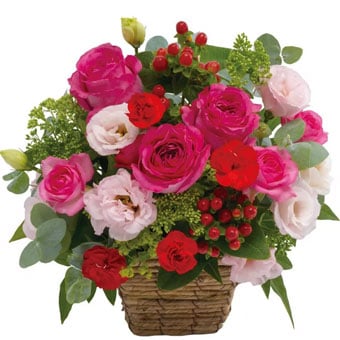Arrangement in Pink and Red (JP)