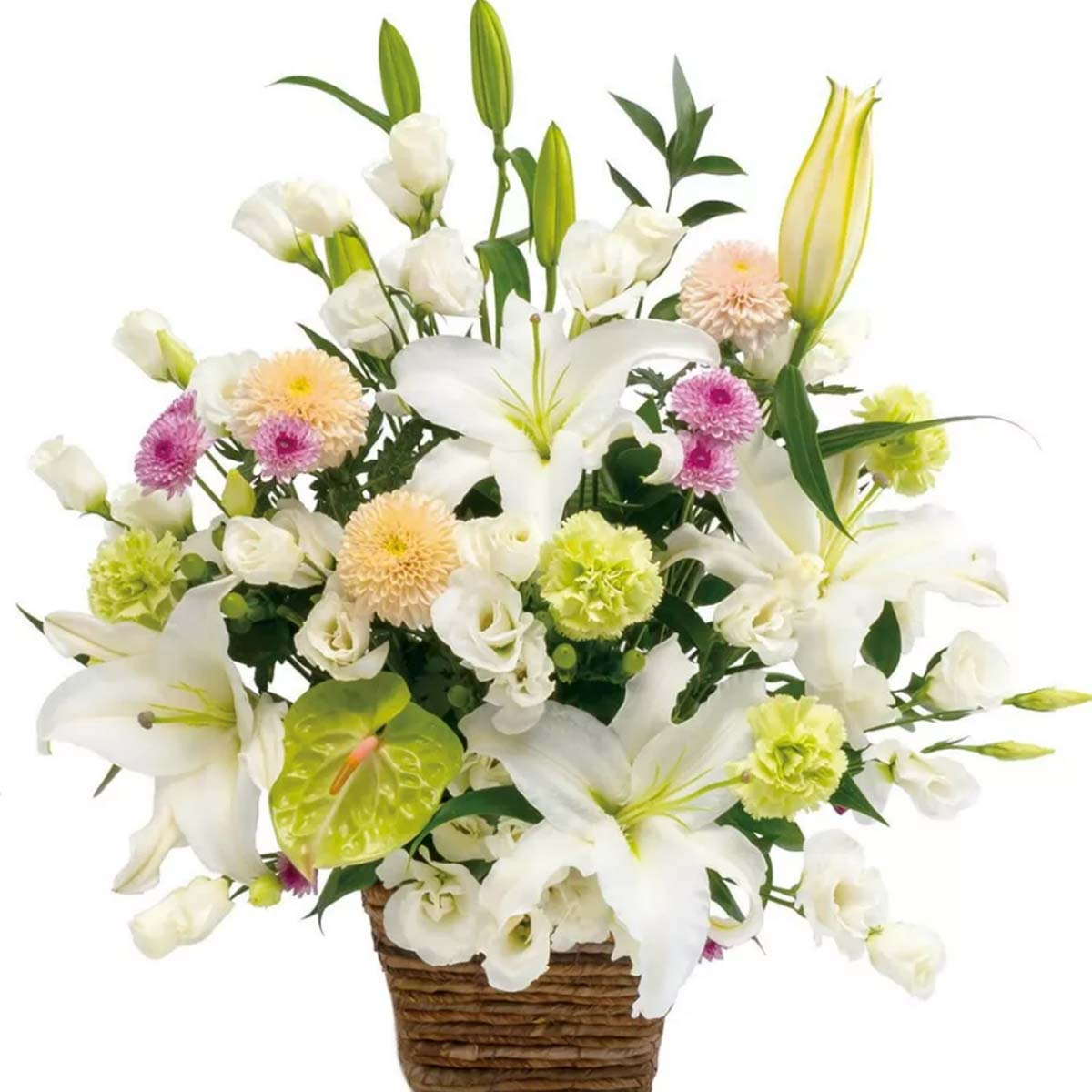 Large Sympathy Arrangement in White (JP)