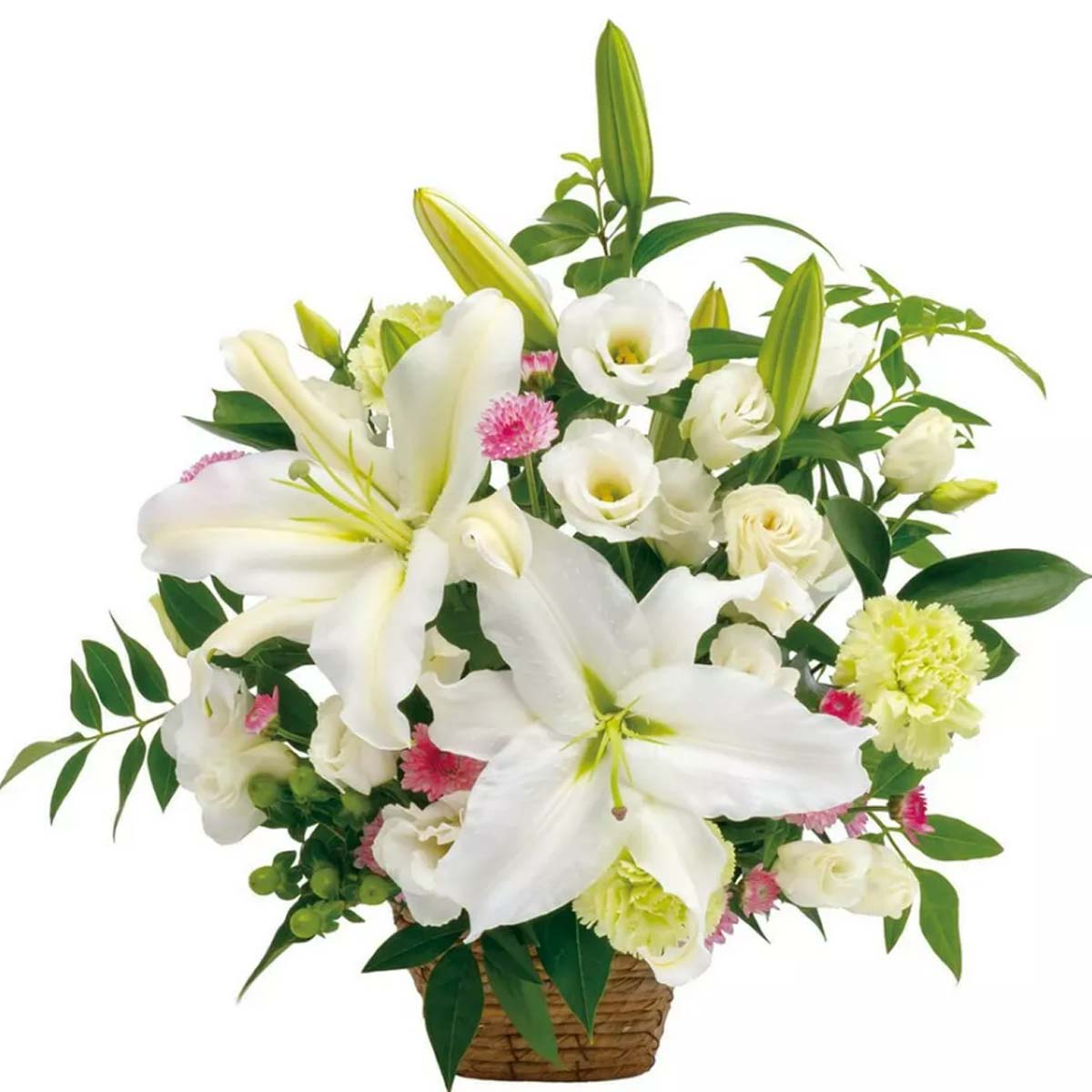 Sympathy Arrangement in White (JP)
