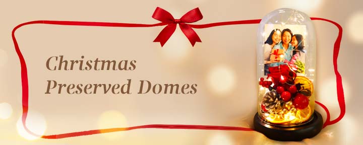 Shop Christmas Preserved Domes!