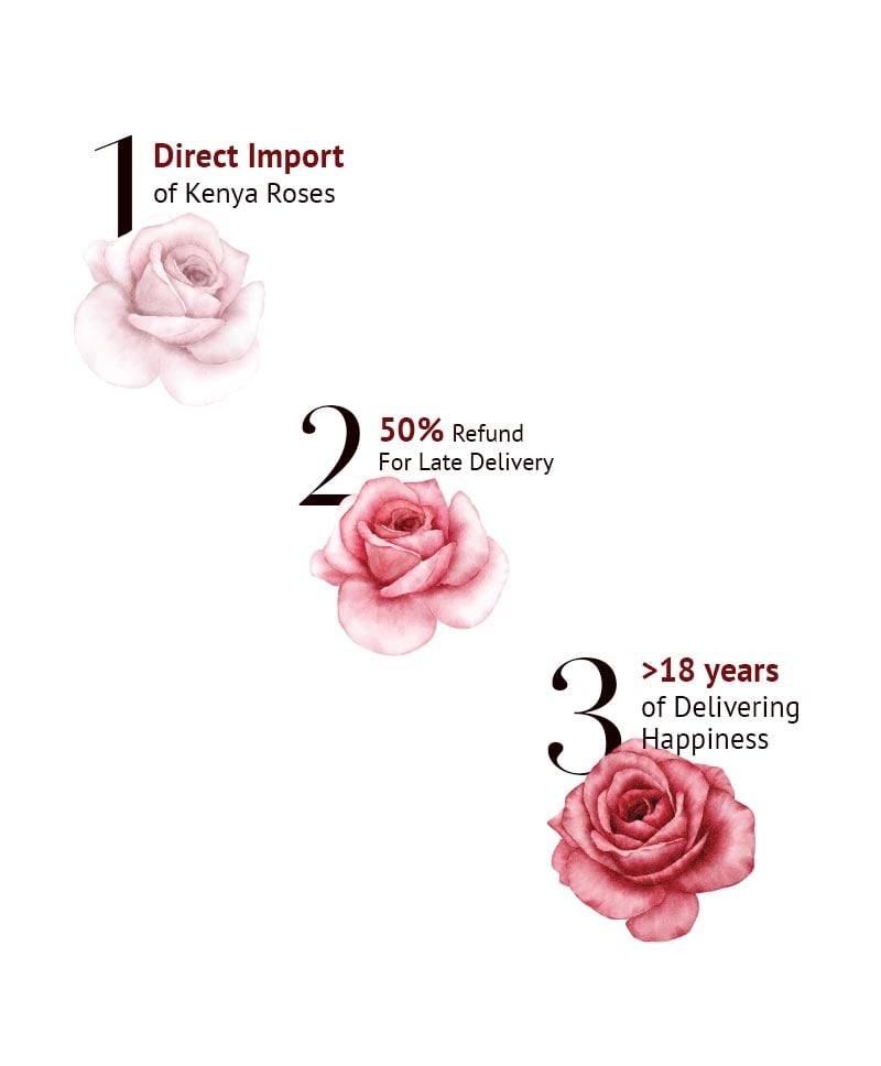 Direct Import of Kenya Roses, 50% Refund for Late Delivery and >18 years of delivering happiness