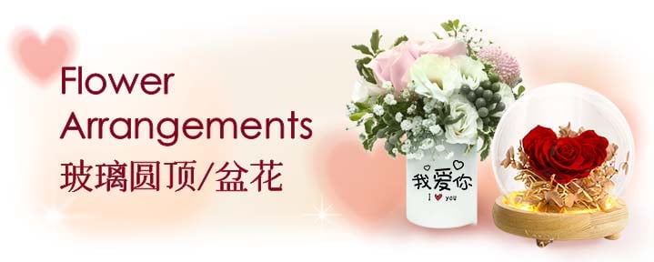 七夕花礼 玻璃圆顶/盆花 | Qixi Flowers Arrangements