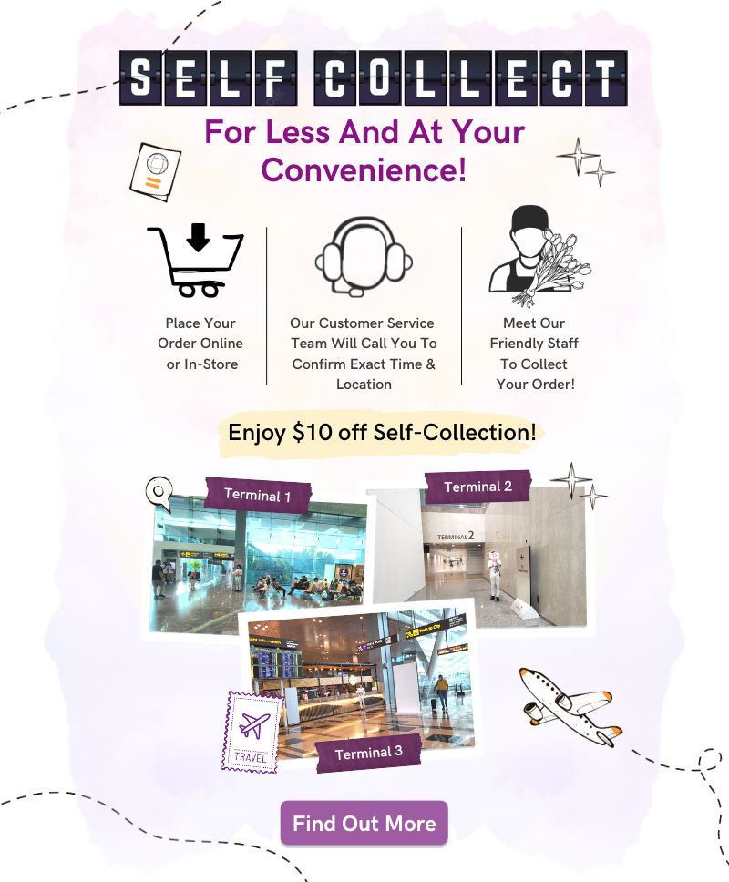 Enjoy $10 off Self Collection At Changi Airport T1, T2, & T3