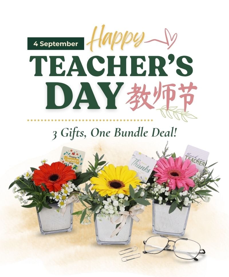 Celebrate the amazing educators in your life with these Teacher's Day bundle deal!