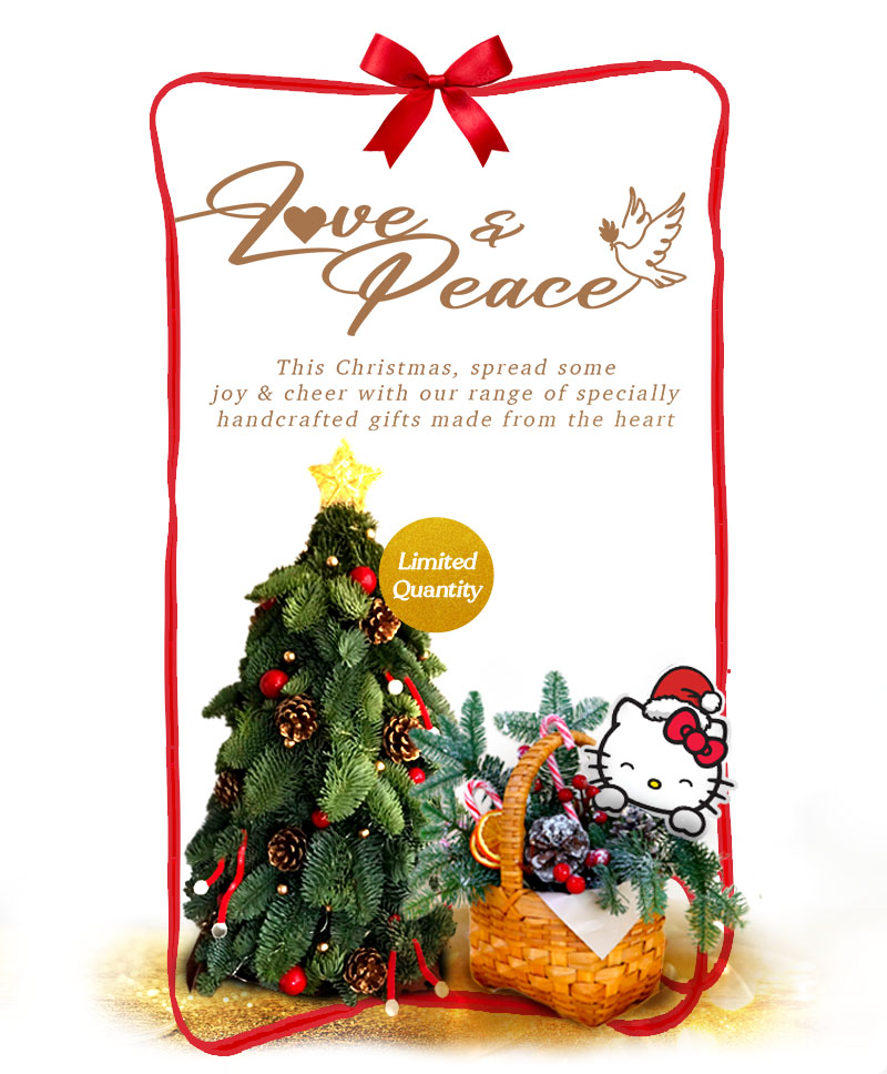 Celebrate Christmas filled with Love & Peace with our heartwarming Christmas Flowers & Gifts!
