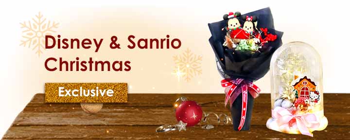 Shop Disney & Sanrio Christmas Gifts!