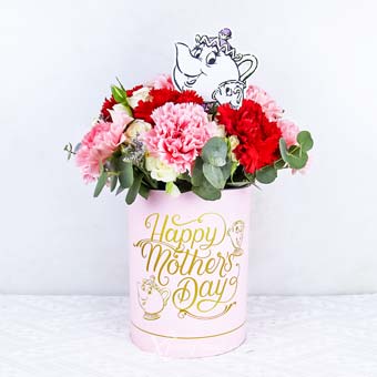 MDDS2483 Potts Magic (Carnations with Disney Mrs Potts & Chip 'Happy Mother's Day' Bloom Box)
