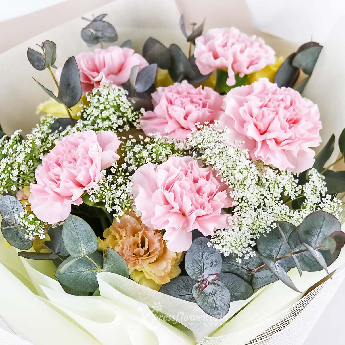 MDBQ2402 Carnation Perfection (6 Pink Carnations) 1b