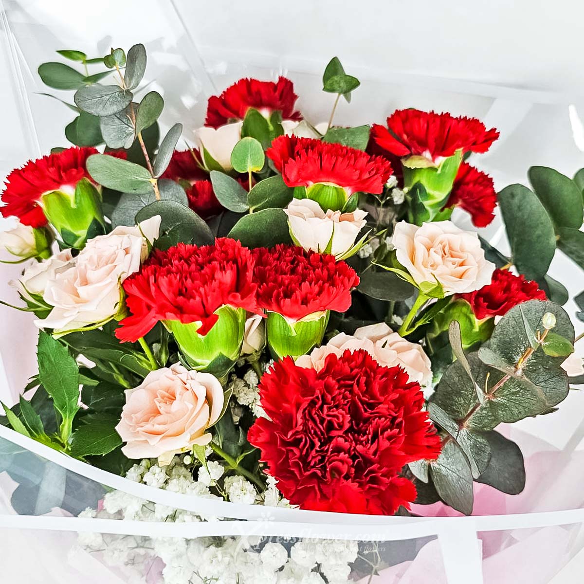 MDBQ2409 Crimson Charm (12 Red Carnations with Pink Rose Sprays) 1b