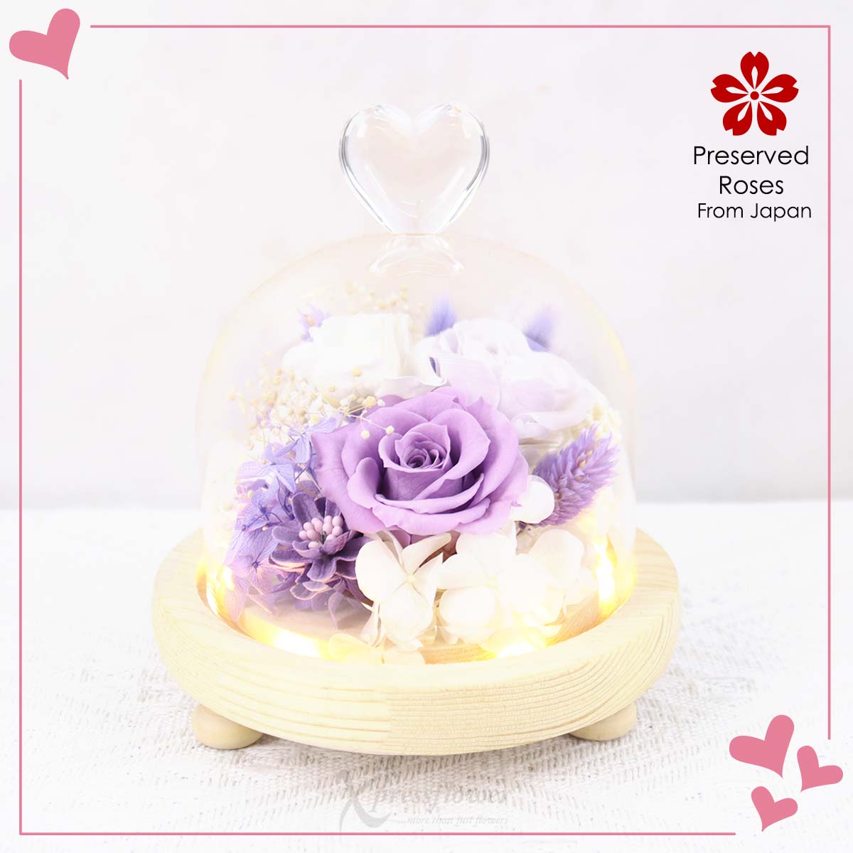 Lavender Light (Preserved Roses with LED Lights)