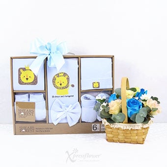 Baby Prince (New Born Baby Hamper)