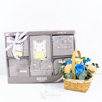 Snuggly Welcome (New Born Baby Hamper)