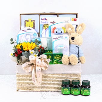 Bright Beginnings (New Born Baby Hamper)