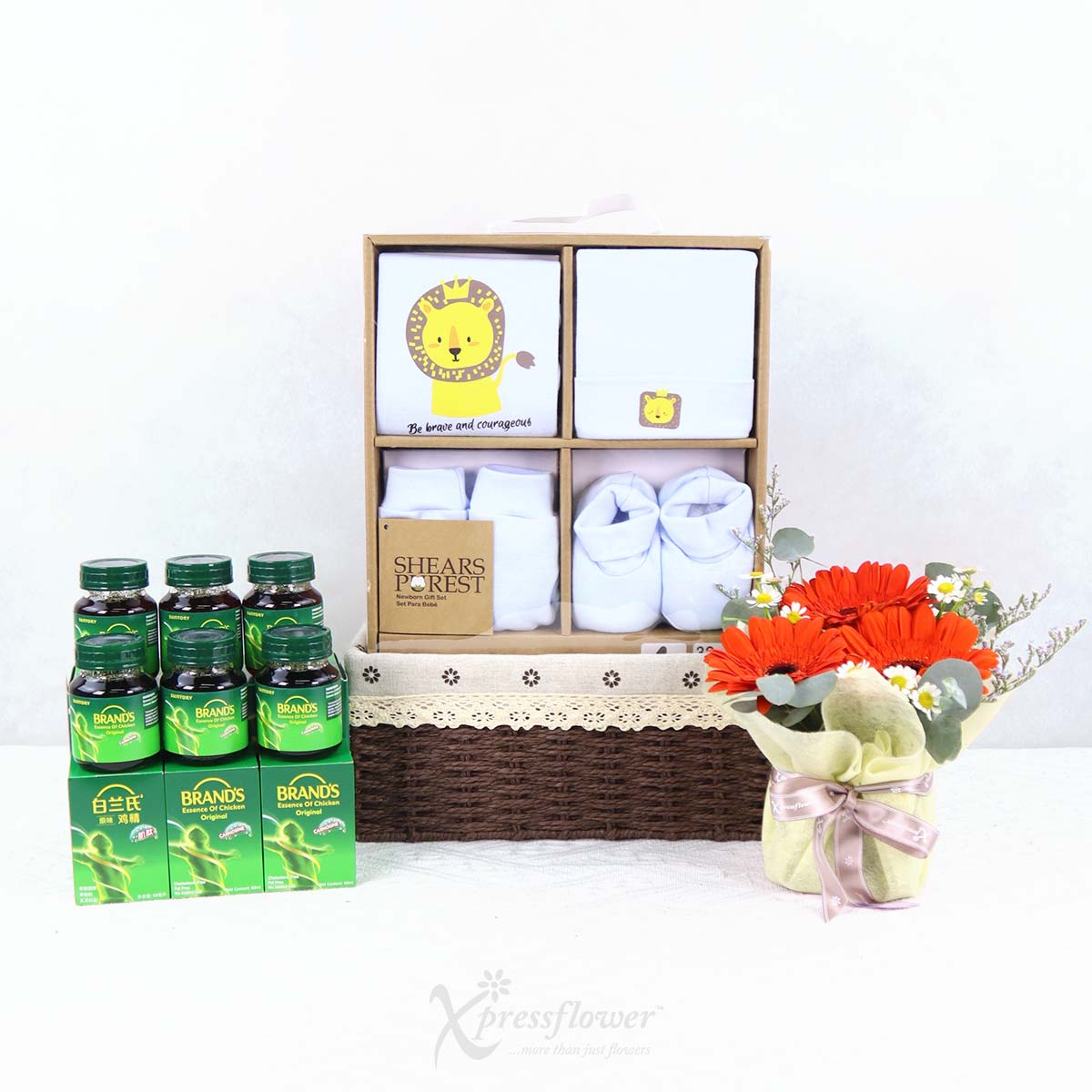 NB2544 Brave Start New Born Baby Hamper 1b