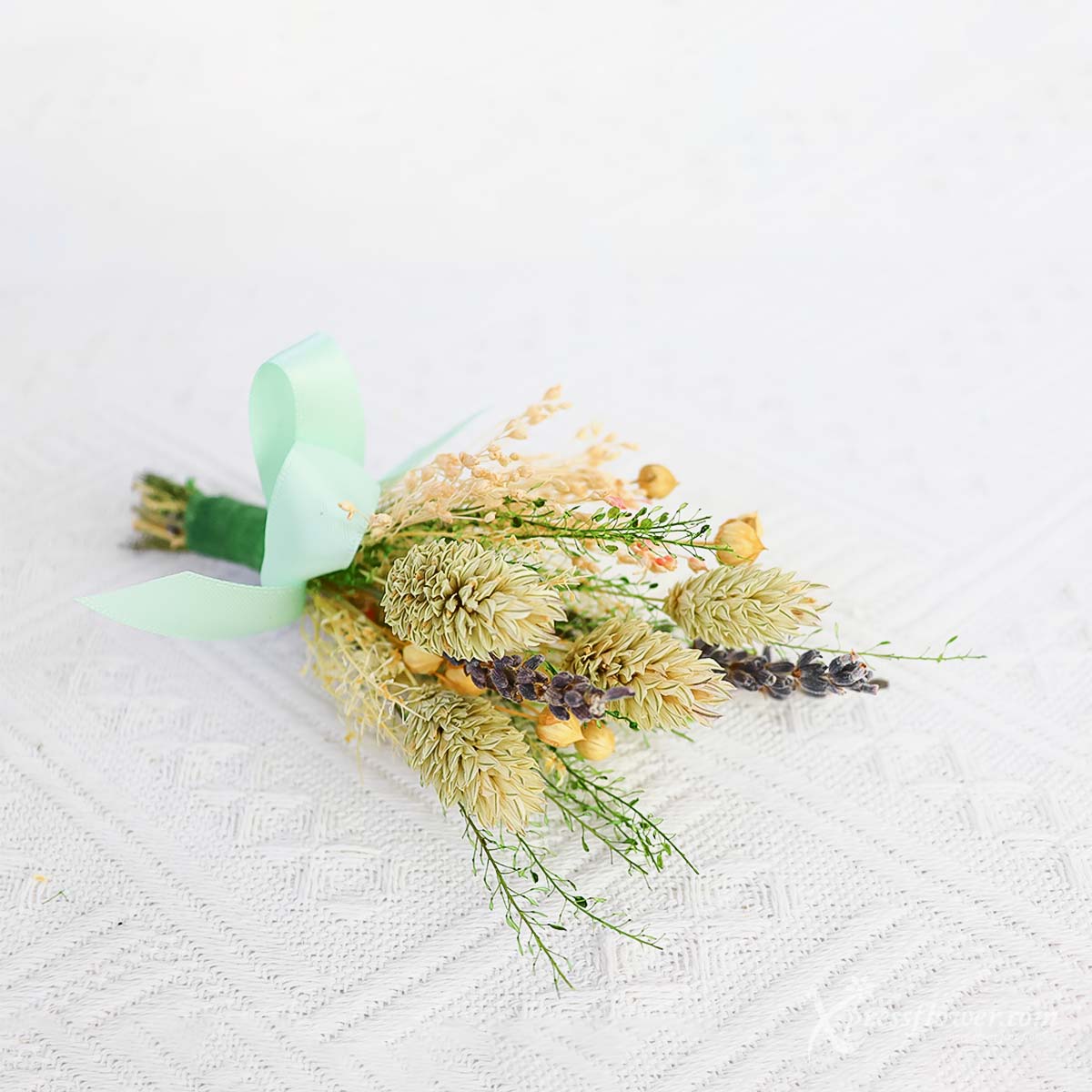 3)-WHC2206_Passionate-Phalaris_1a