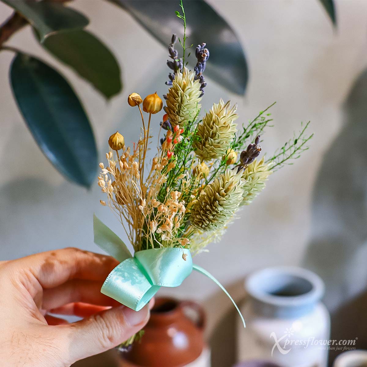 4)-WHC2206_Passionate-Phalaris_3a