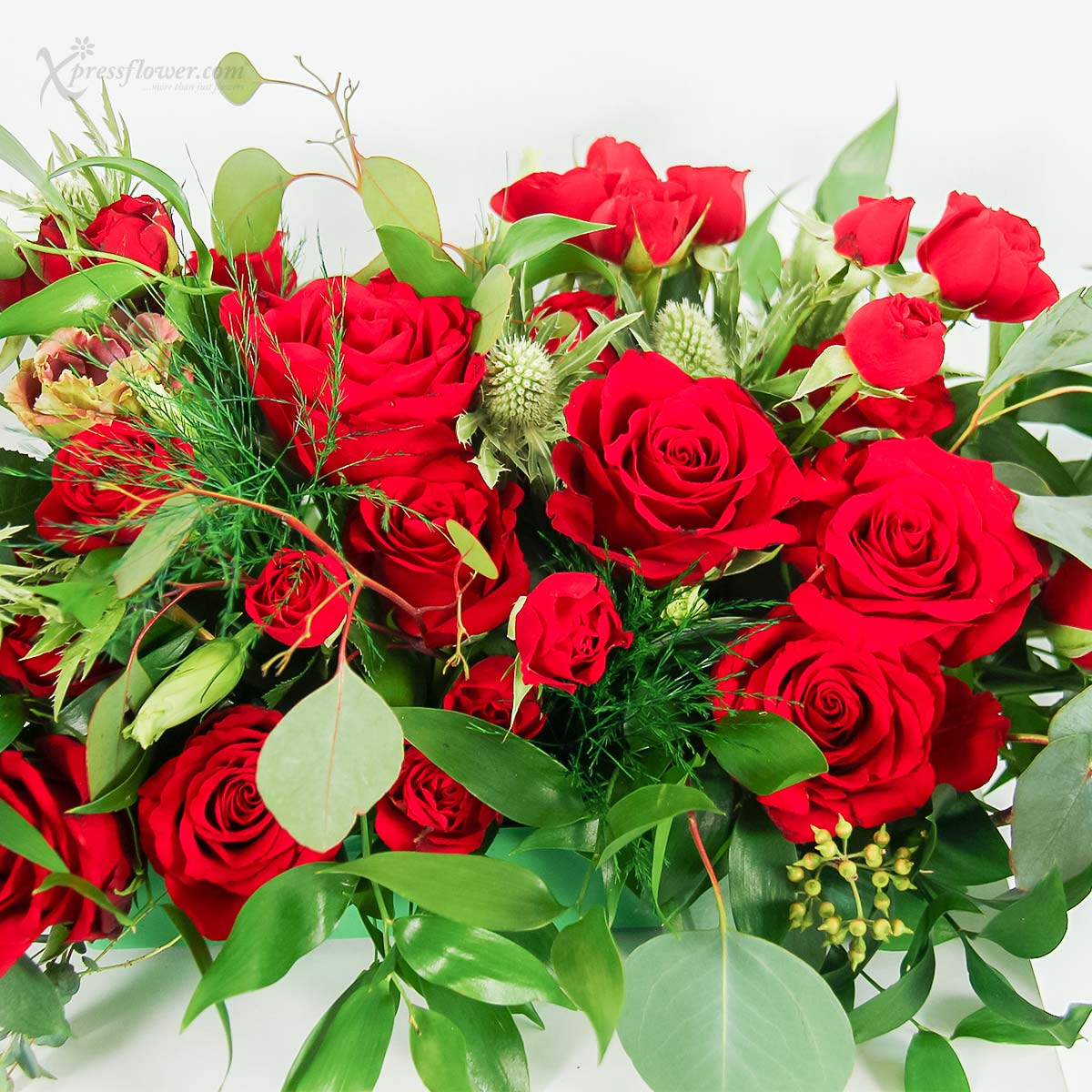 WD2201 Seductive Scarlett 1c