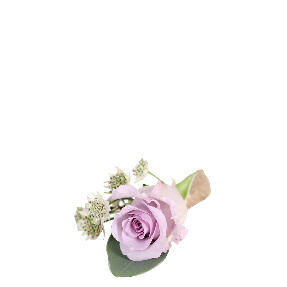 Beautiful Dream (5 pcs)