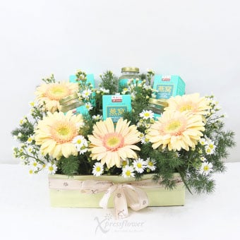HE2401 Revive & Refresh (Gerberas with EYS Bird's Nest)