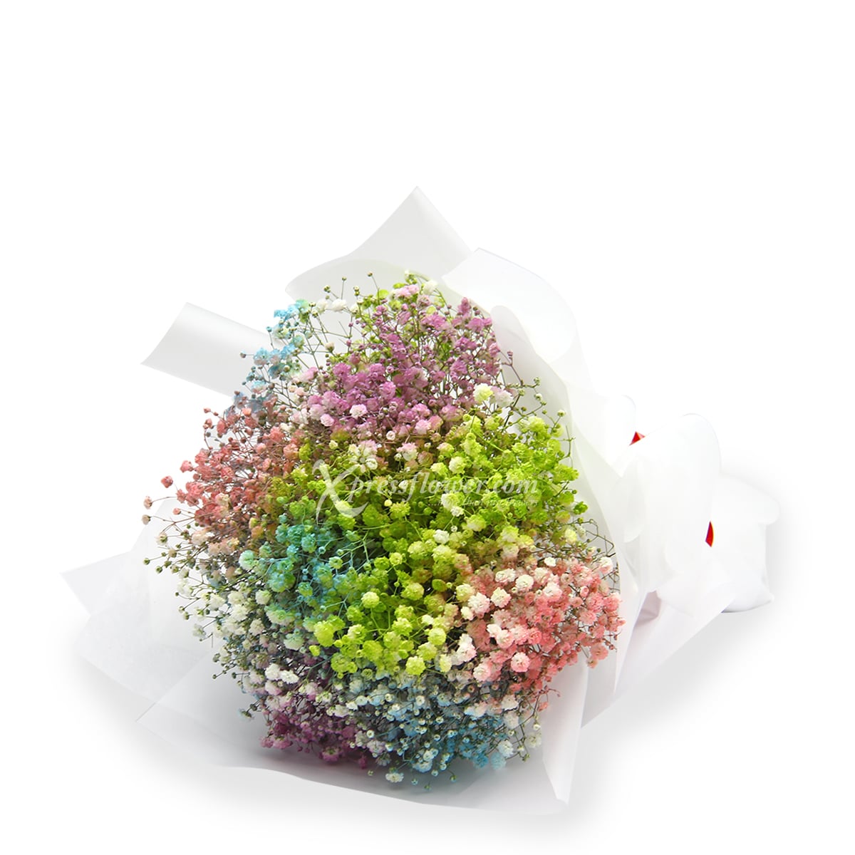 ACP1901 Go-Getter Capricorn