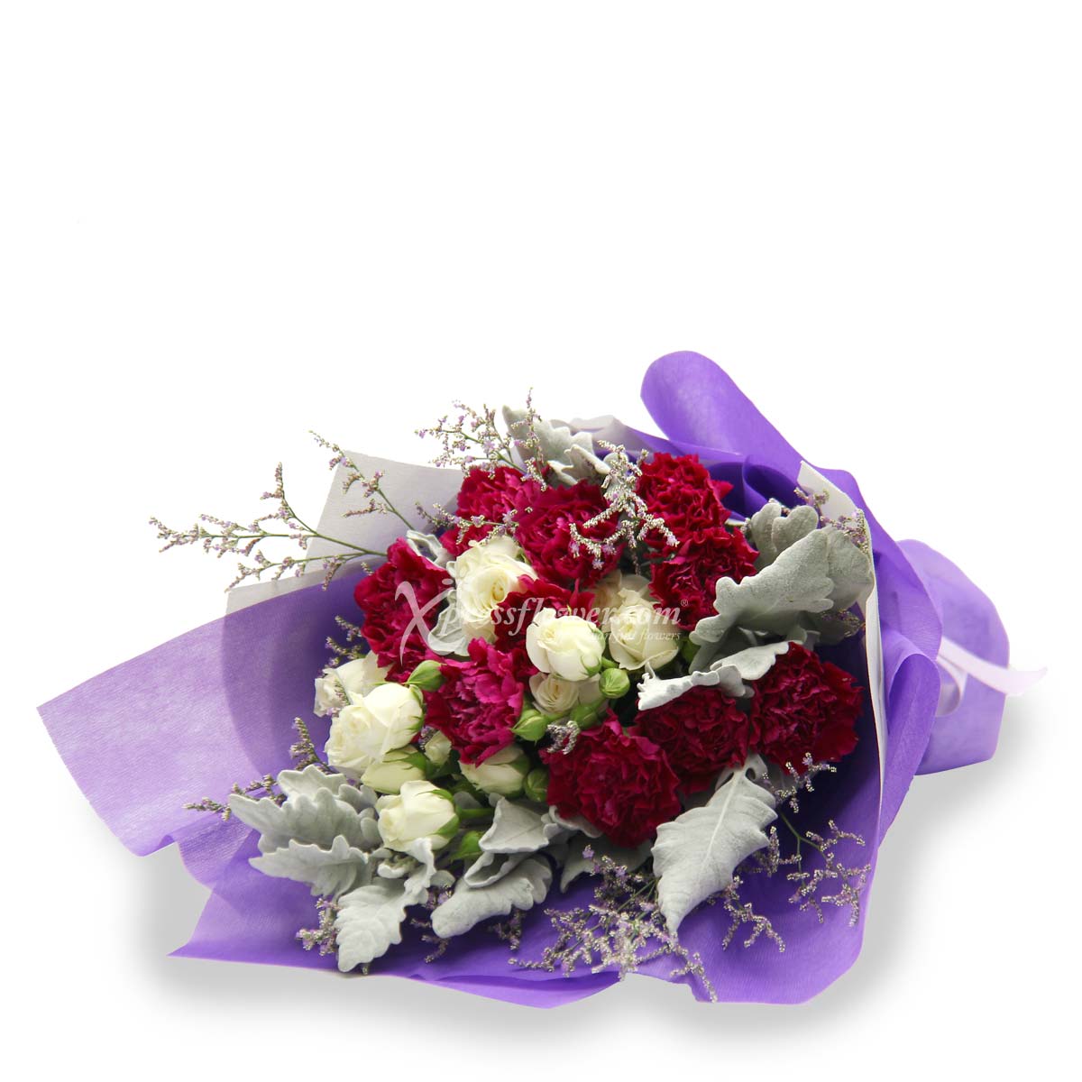 ASG1901 Adventurous Sagittarius