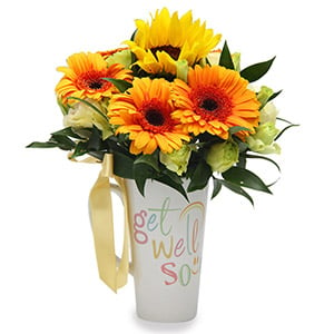 Be Well (5 Orange Gerberas & 1 Sunflower with 'Get Well Soon' Mug)
