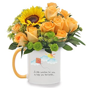 Enlivening Bunch (10 Mango Roses & 1 Sunflower with 'Little Sunshine' Mug)