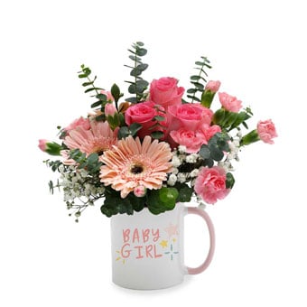Darling Baby Girl (3 Pink Gerberas & 3 Dark Pink Roses with 'Baby Girl' Mug)