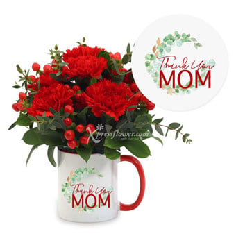 Thank You Mom (6 Red Carnations with 'Thank You Mom' Mug)