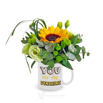 Blazing Reverence (1 Sunflower with 'You Are My Sunshine' Mug)