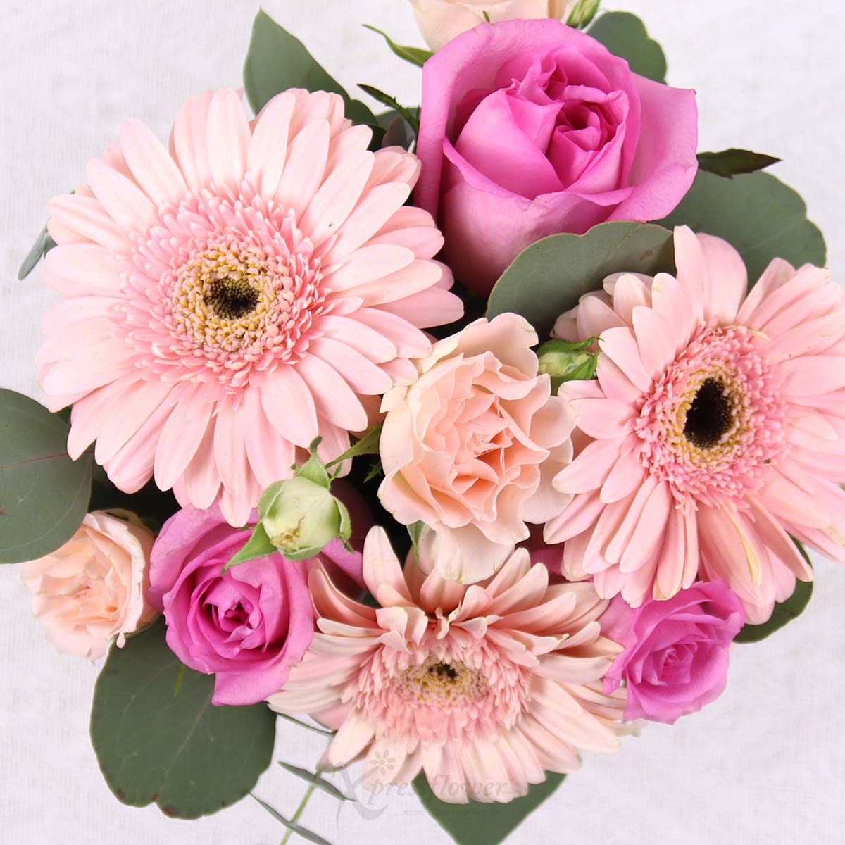 KS2501 Delightful Petals 3 Dark Pink Roses & 3 Light Pink Gerberas 1d