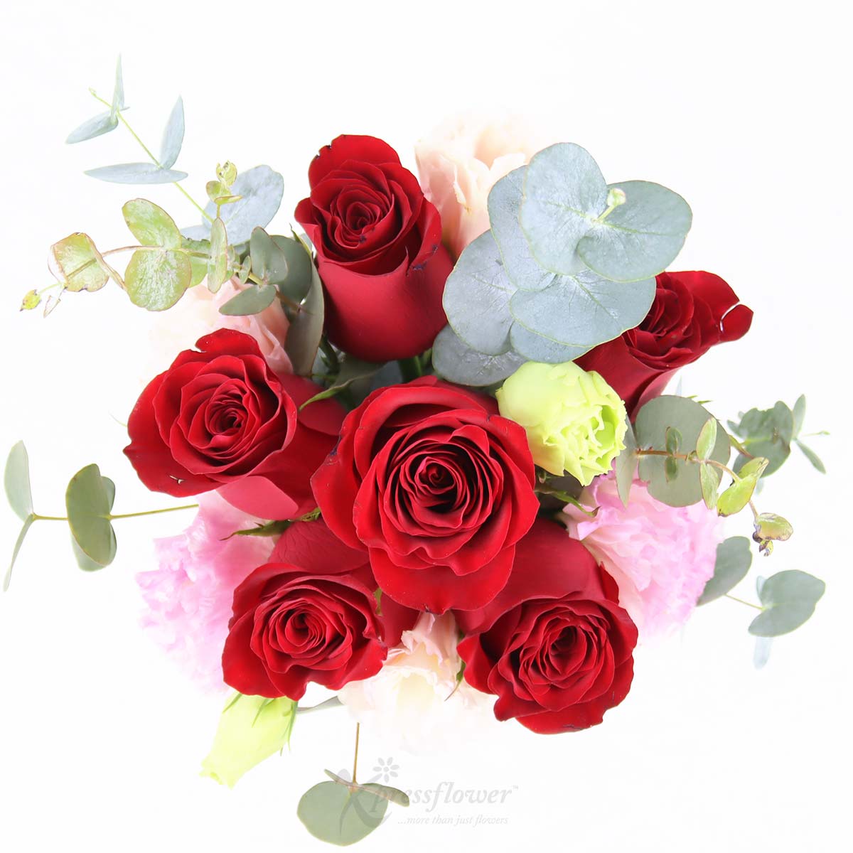 KS2503 Cheeky Romance 6 Red Roses with I Otterly Love You Mug 1c