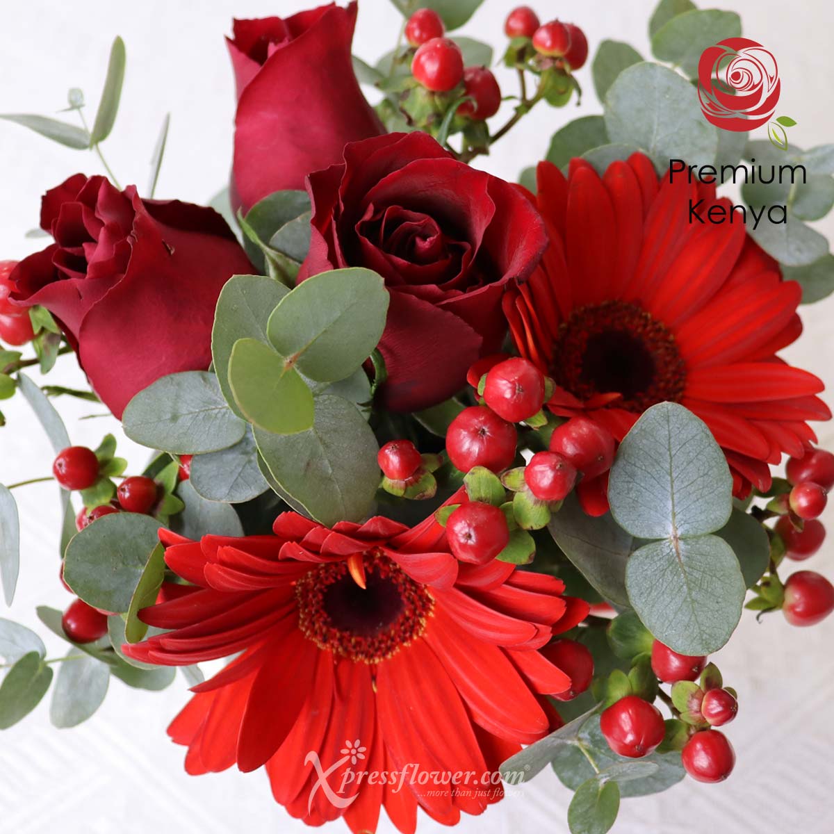 SNMG2301 Captivating Confidante (3 Red Roses & 2 Gerberas with Sanrio Mug) 1c