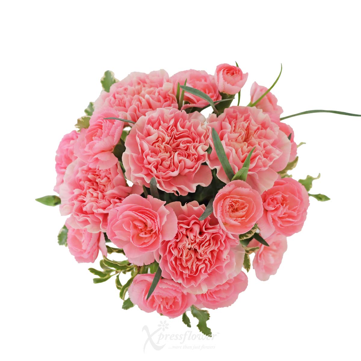 SNMG2309_Capricorn Creations 6 Pink Carnations with My Melody Personalised Mug Capricorn 1b