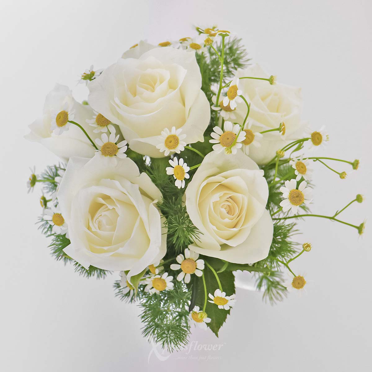 SNMG2310_Aquarius Blooms 6 White Roses with My Melody Personalised Mug Aquarius 1b