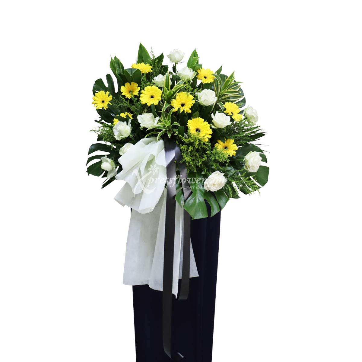 WSC2211 Thoughtful Reverence B