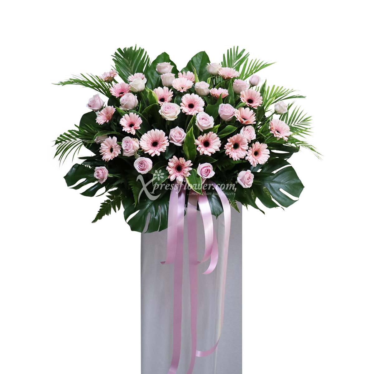 WSC2213 Cherished Life B