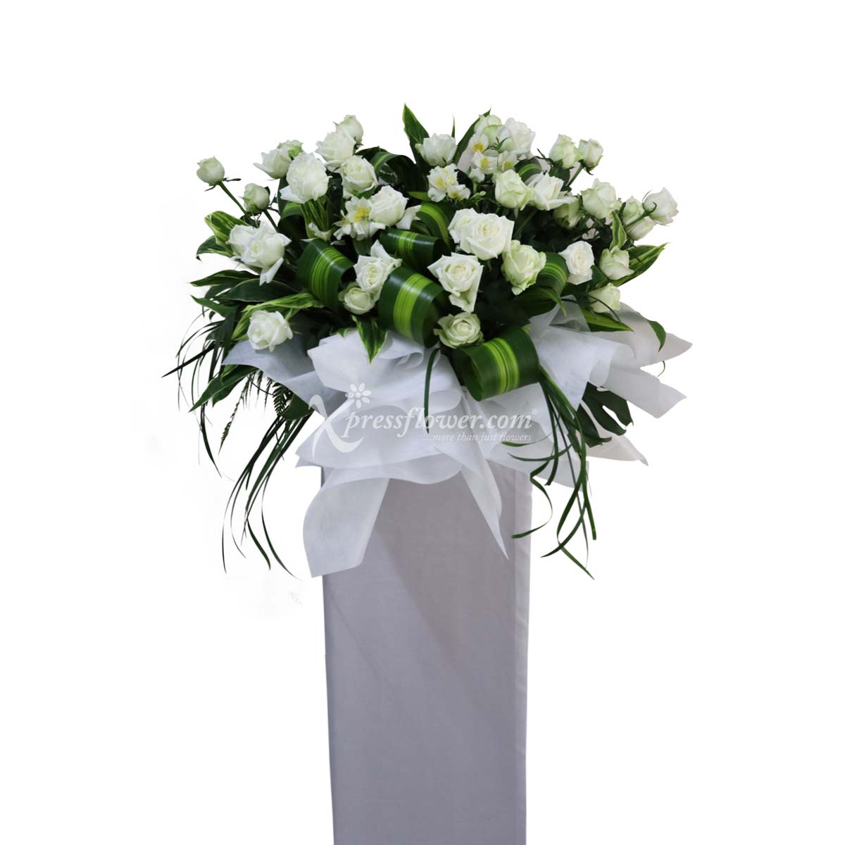 WSC2215 Sympathy & Honour B