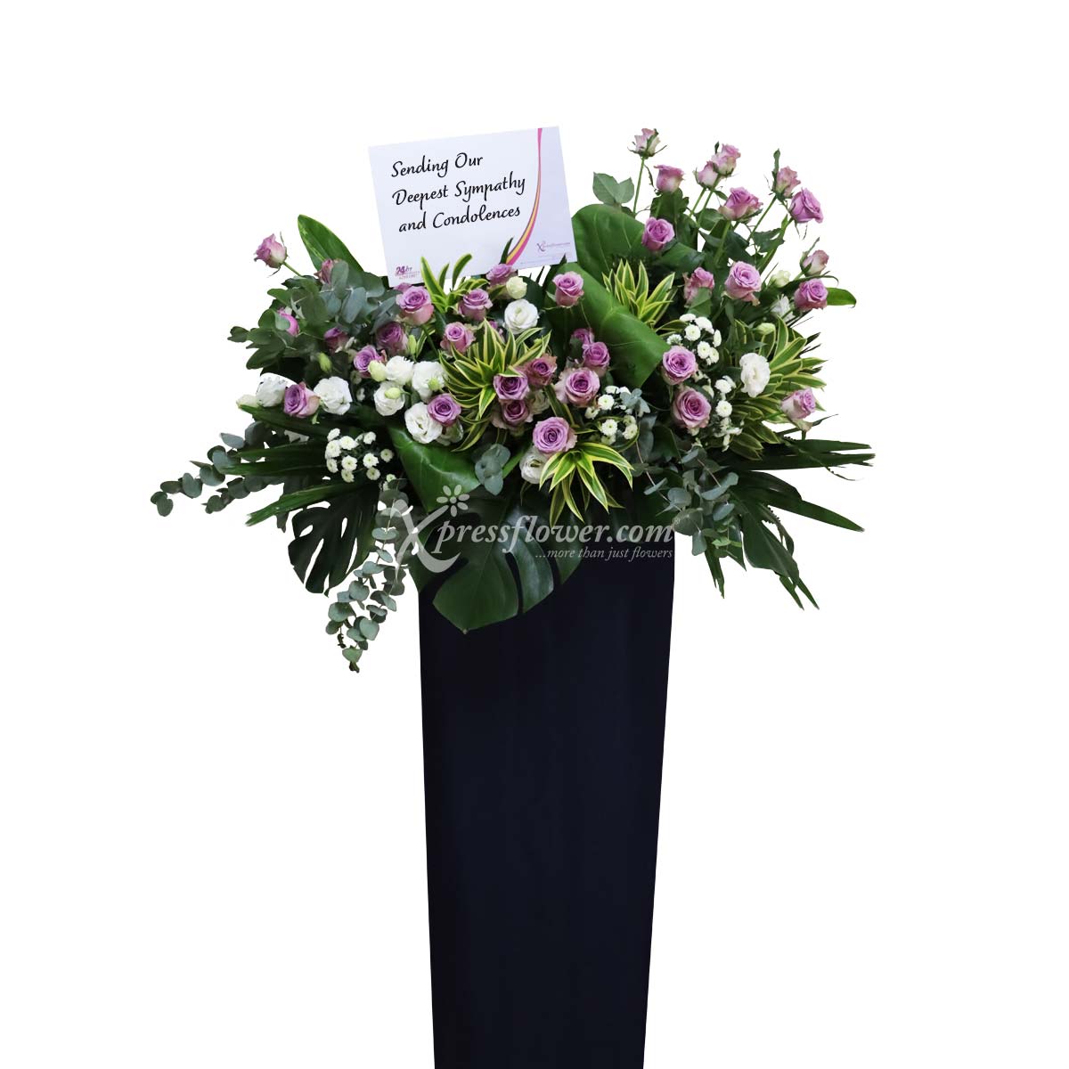 WSC2216 Solemn Remembrance B