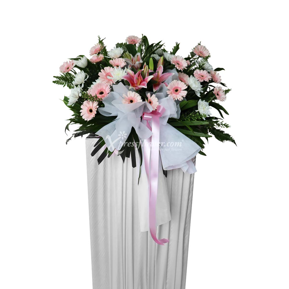 WSC2219 Sympathy Blush B 30052023