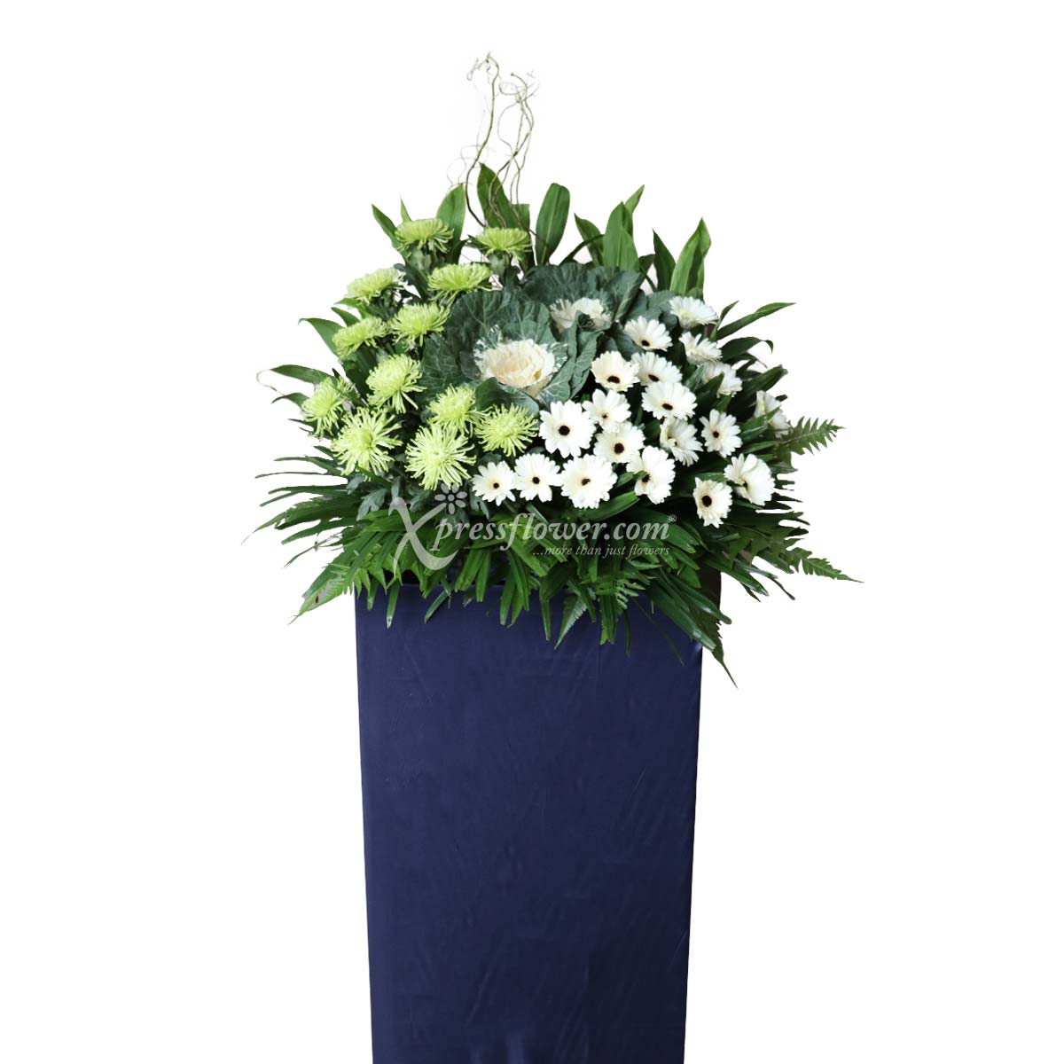 WSC2220 Longing Peace B