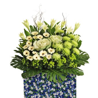 Ivory Affection (Premium Funeral Condolence Flower Wreath)