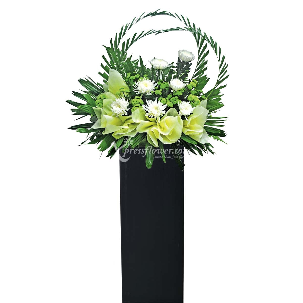 WSC1107 Arc Of Honour B