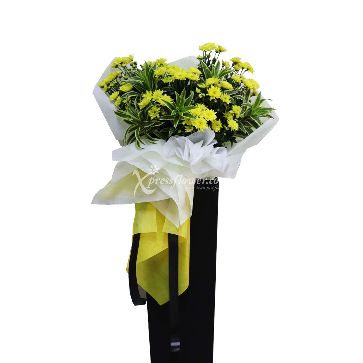 WSC2212 Celebration of Life B