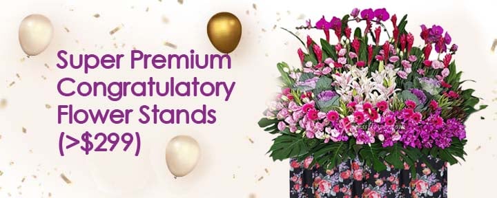 Super Premium Congratulatory Flower Stands (more than $299)