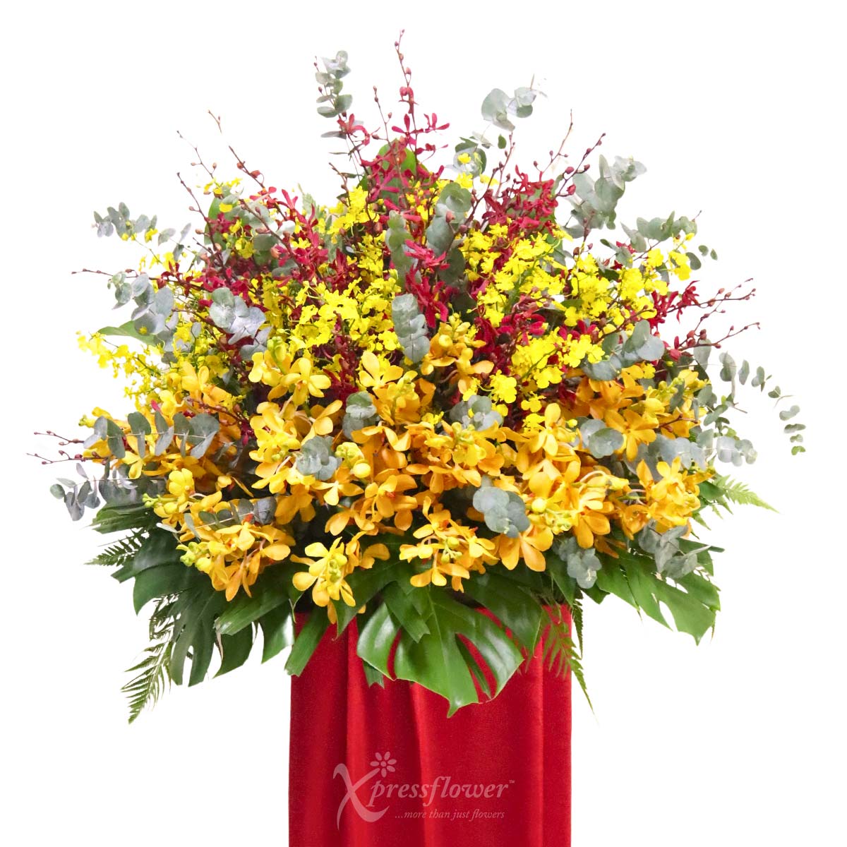 Radiant Triumph (Grand Opening Stand)