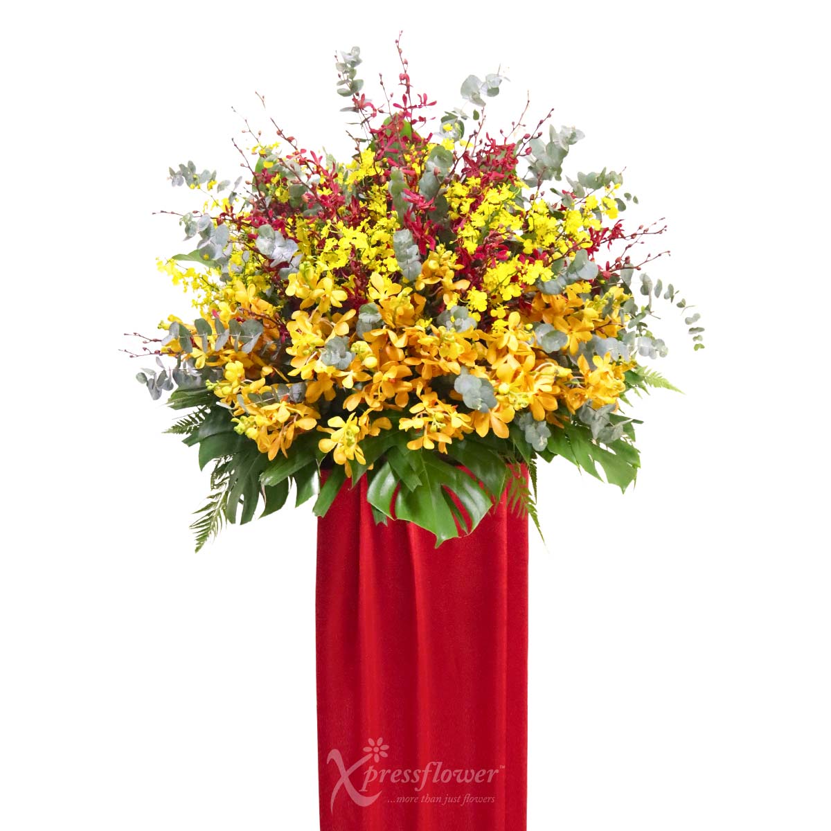 CS2501 Radiant Triumph Grand Opening Stand 1b