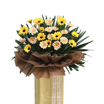 Sunlit Success (Grand Opening Congratulatory Stand)